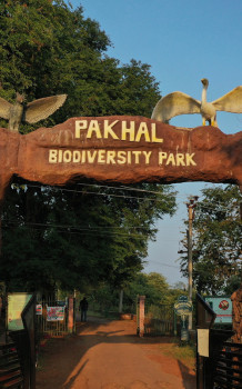 JAYASHANKAR BHUPALAPALLY